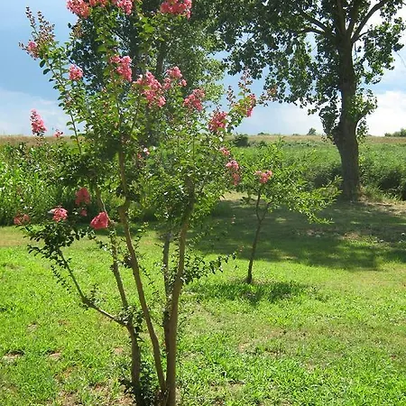 公寓 Ca Ballarin 罗索利纳