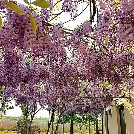 Appartement Ca Ballarin *