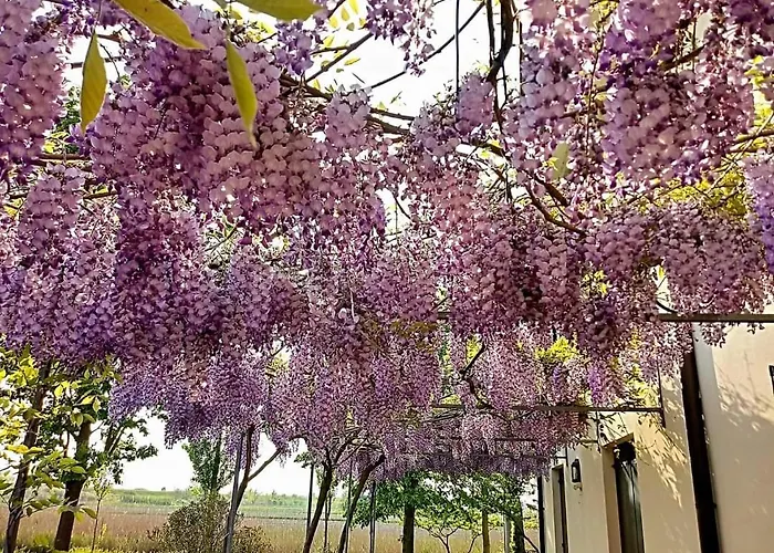 아파트 Ca Ballarin *