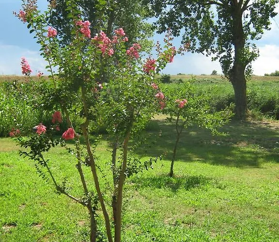 Apartamento Ca Ballarin Rosolina